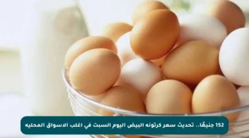 152 جنيهًا.. تحديث سعر كرتونة البيض اليوم السبت في أغلب الأسواق المحلية